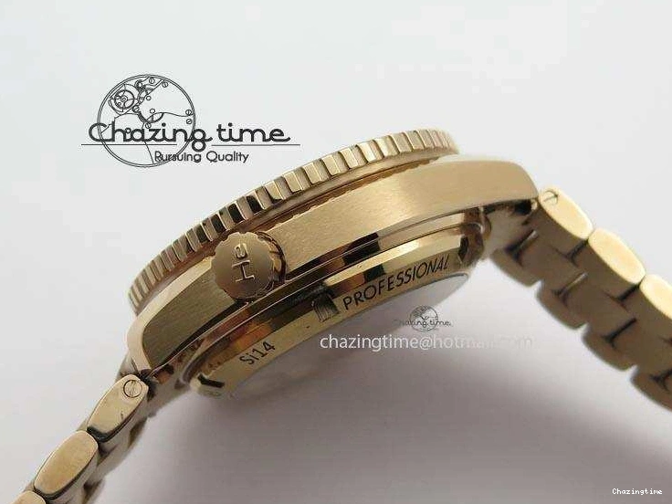 0601 Premium Seamaster Professional Chrono RG Black Ceramic Black Dial On RG Bracelet A 8212